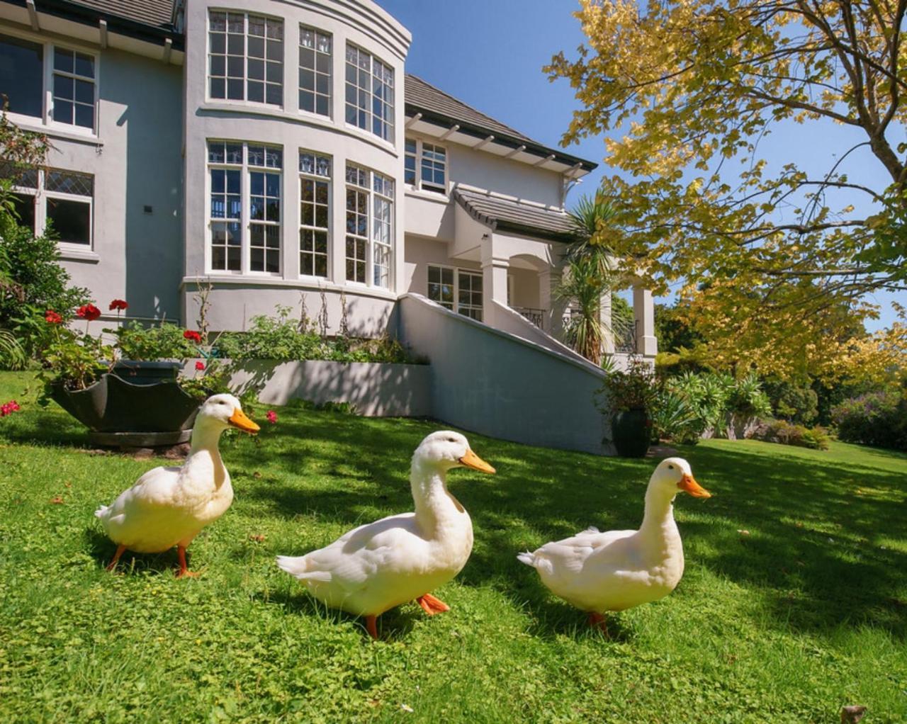 Greenmantle Estate Hotel Paraparaumu Exterior photo